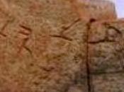 coccio Tamil ritrovato Oman