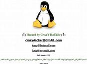 Attacco hacker: violato oscurato sito dell’Arpal