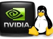Nvidia rilascia nuovi driver Linux