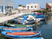 Favignana island with butterfly shape, Sicily