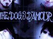 Dogs D'Amour Reunion versione originale 2013