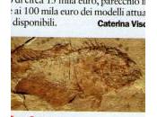 Evoluzione della sogliola