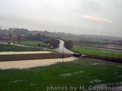 MALTEMPO: viterbese esonda Fiora