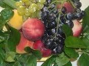 Natale casa ghirlanda frutta come centrotavola