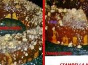 Ciambella nocciolata glassa cioccolato