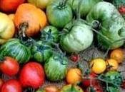 Percorsi Gusto Percorso Vegetariano
