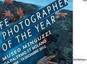 Milano mostra "Wildlife Photographer Year 2012"