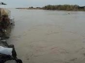 Maremma ginocchio. fiume piena distrugge porto canale della Marina Montalto Castro