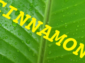 Rilasciata versione 1.6.7 Cinnamon