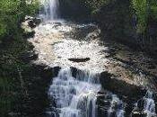 Acqua omeopatia