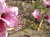 Contest "Fatti conoscere Kreattiva"