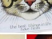 Dolce Emporio loves cats