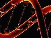 Scoperto gene determina l’ora della nostra morte