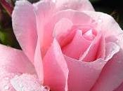 Vivere leggeri