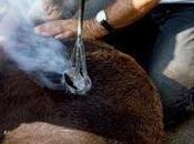 Tutti parlare redditest...di fronte MARCHIO DELL'INFAMIA un'INSOSTENIBILE PRESSIONE FISCALE