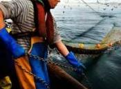 parlamento europeo supporta pesca sostenibile