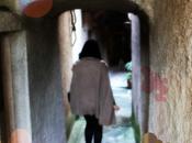 &#8230; November Rain Olsen1313 Share Fac...