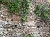 speriamo crollo/2