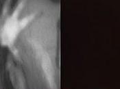 Luca Olivieri-Trigenta