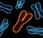 Citizen science genealogia genetica: intervista all’ideatore progetto Cromosoma