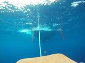 Route Rhum Mura fuga Nannini