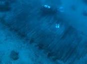 relitto Mentor furti Lord Elgin