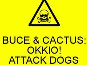 Uscita 25/11 ovvero...dogs attack!
