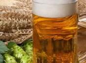Birra Casalinga