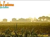 alba d'autunno