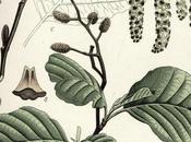 small cones Christmas balls