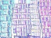 L’unica guerra corso: quella istituzionale mantenere indebiti privilegi.