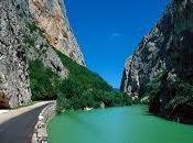 grande evento tartufo Acqualagna