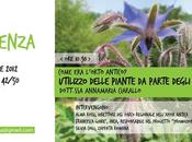 Utilizzo delle piante nell’antichità