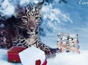 Cartier Winter Tale Christmas 2012