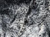 Free Texture Design