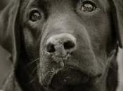 Cos’è photography?