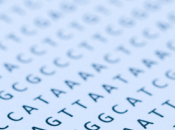 genoma portata click