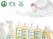 regalo green Natale sicuro Pulito