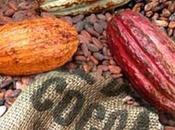 Cocoa Future: aggiornamento ciclico 10/12/2012