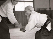 principi dell’Aikido ultimo post)