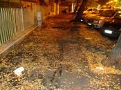 questo marciapiede. discarica foglie rifiuti, melme varie rigagnoli piscio. passeggiare roma vero proprio calvario.