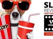 Migliori Responsive jQuery Slider Plugins 2012