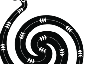 Nuova Collaborazione