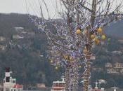 Natale: niente bocce limoni