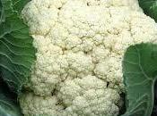 Gratin cavolfiore bagna cauda