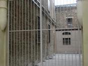 nuovo Palazzo Bellotti presenta