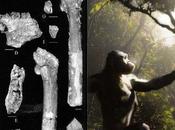 Album Famiglia Orrorin Ardipithecus