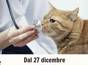 Obbligatorio soccorrere animali