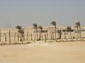 settimana deserto