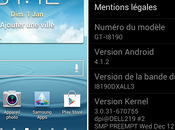 Galaxy mini arriva Jelly Bean 4.1.2 Asia